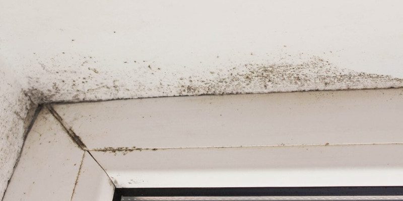 Water Damage in Columbia, South Carolina