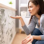 Breathe Easier With Our Mold Testing & Removal Services!
Let’s Talk About Mold!