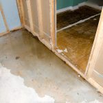 Flood Water Extraction